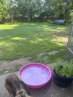 processed/f06117f3-6164-43e8-917a-00c280ccb3d9/facility/91145965-b4be-45cb-b710-9a35a52fa483