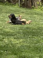 processed/f06117f3-6164-43e8-917a-00c280ccb3d9/facility/b2dcf100-f33b-4e71-92a1-e6acca09b4ef