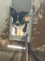 processed/f06117f3-6164-43e8-917a-00c280ccb3d9/facility/b4edf9e0-99d1-40ee-be55-236686365de0