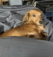 processed/f06117f3-6164-43e8-917a-00c280ccb3d9/facility/bc169f71-3582-43e3-877c-e0fd742dac97