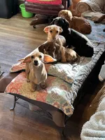 processed/f06117f3-6164-43e8-917a-00c280ccb3d9/facility/bde32a2e-eb83-4860-a46a-4803355a9f63