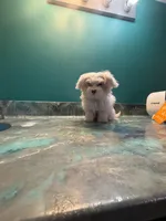 processed/f063979f-b6bb-4576-9759-1b5379ae2561/facility/17b02eda-6294-4256-a224-fd35bdf1c37d