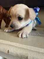 processed/f063979f-b6bb-4576-9759-1b5379ae2561/facility/462d6a0e-1828-4c89-ada8-fa4b2d204dae