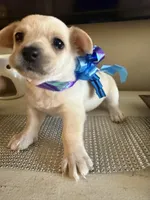 processed/f063979f-b6bb-4576-9759-1b5379ae2561/facility/ceb3f08c-351c-49ce-a0f0-de0c05fce43d