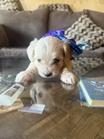 processed/f063979f-b6bb-4576-9759-1b5379ae2561/facility/f53acb6f-c9b0-4b23-9fb4-37b5bb78aee7