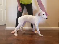 processed/f07cb8e0-e4b7-454f-baf3-a07686495498/listing/43998923-f869-4ea7-97e3-9ad085f9e97e/49848e4d-8d40-47d2-8c6d-334e9c7cd485