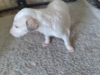 processed/f07cb8e0-e4b7-454f-baf3-a07686495498/listing/43998923-f869-4ea7-97e3-9ad085f9e97e/d07afa27-7a46-4767-96a1-9ed9afcd398e