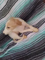 processed/f07cb8e0-e4b7-454f-baf3-a07686495498/listing/6852955c-f140-4341-a5c5-8447ec7bda06/a2246d66-0052-4b92-a82a-b069ed7dbb6e