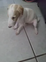 processed/f07cb8e0-e4b7-454f-baf3-a07686495498/listing/e64db863-30c8-4334-b2c7-ed714a94357f/04f889a4-113b-461d-979b-44db4afbea16