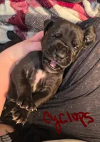 processed/f091a1c5-f685-451a-8897-4288ece660ee/listing/493b1f0e-b064-4993-8e37-de591bf03bec/5ebd41e2-6eba-4a46-b719-afbe4d90126d