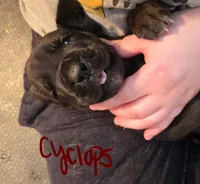 processed/f091a1c5-f685-451a-8897-4288ece660ee/listing/493b1f0e-b064-4993-8e37-de591bf03bec/9626f58e-fe00-48ec-bcfb-8e55d3417b81