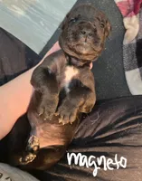 processed/f091a1c5-f685-451a-8897-4288ece660ee/listing/fe6a3a52-c7c3-454a-b701-8d29cfe790f0/8bc6bbbd-3c6c-4c5c-a820-803cd9621c44