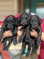 processed/f0ab3f67-51ca-4516-853b-512d02eed2b1/facility/00884a1a-1956-40d8-9a8d-702d167784f8