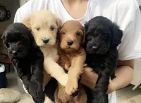 processed/f0ab3f67-51ca-4516-853b-512d02eed2b1/facility/21f2834e-1609-4f24-a4c9-6fa4491b9284