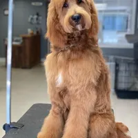 Facility photo