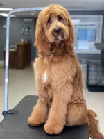 processed/f0ab3f67-51ca-4516-853b-512d02eed2b1/facility/71af8a39-7d9f-4801-8358-368888966548