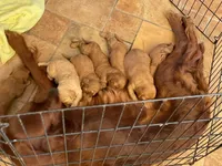 processed/f0ab3f67-51ca-4516-853b-512d02eed2b1/facility/ab6a4b06-e1ec-4c60-add8-3c6985786796