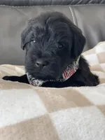 processed/f0ab3f67-51ca-4516-853b-512d02eed2b1/listing/8385d115-39c6-4fcd-bbbf-93603b1b8a1b/2863edab-f8a6-4d9f-8a02-272eaeb9cb5f