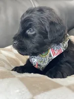 processed/f0ab3f67-51ca-4516-853b-512d02eed2b1/listing/8385d115-39c6-4fcd-bbbf-93603b1b8a1b/595b04da-53ec-4f48-9d00-e4ce5bd2a88b