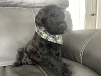 processed/f0ab3f67-51ca-4516-853b-512d02eed2b1/listing/8385d115-39c6-4fcd-bbbf-93603b1b8a1b/5d0152e8-818b-48ef-bae1-cd3ba87153d2