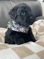 processed/f0ab3f67-51ca-4516-853b-512d02eed2b1/listing/8385d115-39c6-4fcd-bbbf-93603b1b8a1b/888e3a2e-66fa-4f74-b47e-40d01340be13