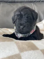 processed/f0ab3f67-51ca-4516-853b-512d02eed2b1/listing/8385d115-39c6-4fcd-bbbf-93603b1b8a1b/cd8e1505-3696-4cf5-9568-55259e465e06