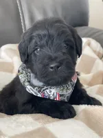 processed/f0ab3f67-51ca-4516-853b-512d02eed2b1/listing/8385d115-39c6-4fcd-bbbf-93603b1b8a1b/d1cc0659-615b-4342-a548-0802298dee48