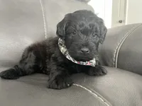 processed/f0ab3f67-51ca-4516-853b-512d02eed2b1/listing/8385d115-39c6-4fcd-bbbf-93603b1b8a1b/d4acf064-00e2-4d39-86b6-d9b6e56601a3