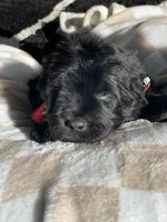 processed/f0ab3f67-51ca-4516-853b-512d02eed2b1/listing/a20e15e0-1dc4-4d18-b16f-c0cafc943b19/04dc2d47-b2ff-4116-a587-0fecec725e60