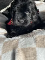 processed/f0ab3f67-51ca-4516-853b-512d02eed2b1/listing/a20e15e0-1dc4-4d18-b16f-c0cafc943b19/6721cfe9-74fd-4260-bb5f-70b5c66d63cf