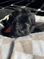 processed/f0ab3f67-51ca-4516-853b-512d02eed2b1/listing/a20e15e0-1dc4-4d18-b16f-c0cafc943b19/d48dd731-5c7b-470c-8043-befa33b8a67b