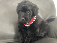 processed/f0ab3f67-51ca-4516-853b-512d02eed2b1/listing/a20e15e0-1dc4-4d18-b16f-c0cafc943b19/f47657fa-681d-4c6d-9a40-5761e7735798