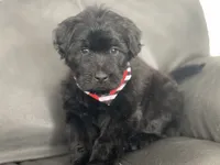 processed/f0ab3f67-51ca-4516-853b-512d02eed2b1/listing/a20e15e0-1dc4-4d18-b16f-c0cafc943b19/f5bfe335-d5c2-4f4c-bf37-0639b09647d0