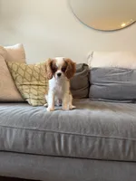 processed/f0ac29fa-6c7e-403b-b9a0-f95afb21164a/listing/71da9430-1b1a-454d-b95b-e1bae5d86a99/1f00b8ea-b625-480c-9715-e719adde92bd