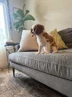 processed/f0ac29fa-6c7e-403b-b9a0-f95afb21164a/listing/71da9430-1b1a-454d-b95b-e1bae5d86a99/9a30de81-0ede-477b-ba11-e4fee94380e2