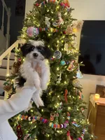 processed/f0ac29fa-6c7e-403b-b9a0-f95afb21164a/listing/e4312fd4-71b4-4905-ae7a-880ac4dd83e2/01712775-3d70-4878-864d-d25fb95165ec