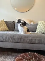 processed/f0ac29fa-6c7e-403b-b9a0-f95afb21164a/listing/e4312fd4-71b4-4905-ae7a-880ac4dd83e2/2849a643-6ed9-4d35-9404-e8c8ba6ecc93