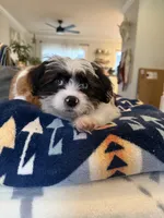 processed/f0ac29fa-6c7e-403b-b9a0-f95afb21164a/listing/e4312fd4-71b4-4905-ae7a-880ac4dd83e2/304bd6f7-2388-4e6c-946e-aed8f37c319a