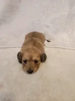 processed/f0ac7b0e-6803-42e9-bf9e-4c7b16d66045/listing/d7c1a4a5-bbd9-4040-9034-eef2ce66dbed/a13e4bdb-3fe4-4362-b4c4-d344fc32e854