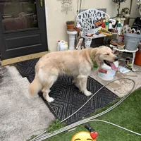 processed/f0b65ad9-fb20-47a4-bbd4-43d4a4e1f9ae/facility/375ef205-a7e6-4bc7-aa63-a74e8a2b16d1