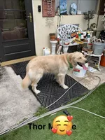 processed/f0b65ad9-fb20-47a4-bbd4-43d4a4e1f9ae/facility/375ef205-a7e6-4bc7-aa63-a74e8a2b16d1