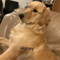 processed/f0b65ad9-fb20-47a4-bbd4-43d4a4e1f9ae/facility/d27e8384-bc43-4beb-acf2-70eb5c2a90fb