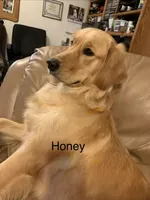 processed/f0b65ad9-fb20-47a4-bbd4-43d4a4e1f9ae/facility/d27e8384-bc43-4beb-acf2-70eb5c2a90fb