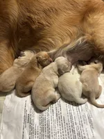 processed/f0b65ad9-fb20-47a4-bbd4-43d4a4e1f9ae/facility/f557811b-b9ee-4d32-a2c1-ac1f872e8eef