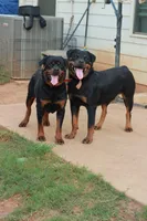 processed/f0bbc54c-6282-4265-8d58-722429c064b4/facility/344d3388-4edf-4574-98f5-de401196caf4