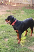 processed/f0bbc54c-6282-4265-8d58-722429c064b4/facility/74b405cb-0e63-4a12-9d4e-f55de41e35c5