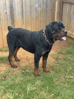 processed/f0bbc54c-6282-4265-8d58-722429c064b4/facility/fef2a69f-700d-4df5-bdeb-712c12191ccb