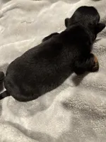 processed/f0bbc54c-6282-4265-8d58-722429c064b4/listing/2750d8c1-dd6f-4e39-bb31-a5c463b1affc/a41551fb-4cc3-4cc7-8e9a-253c0b989d73