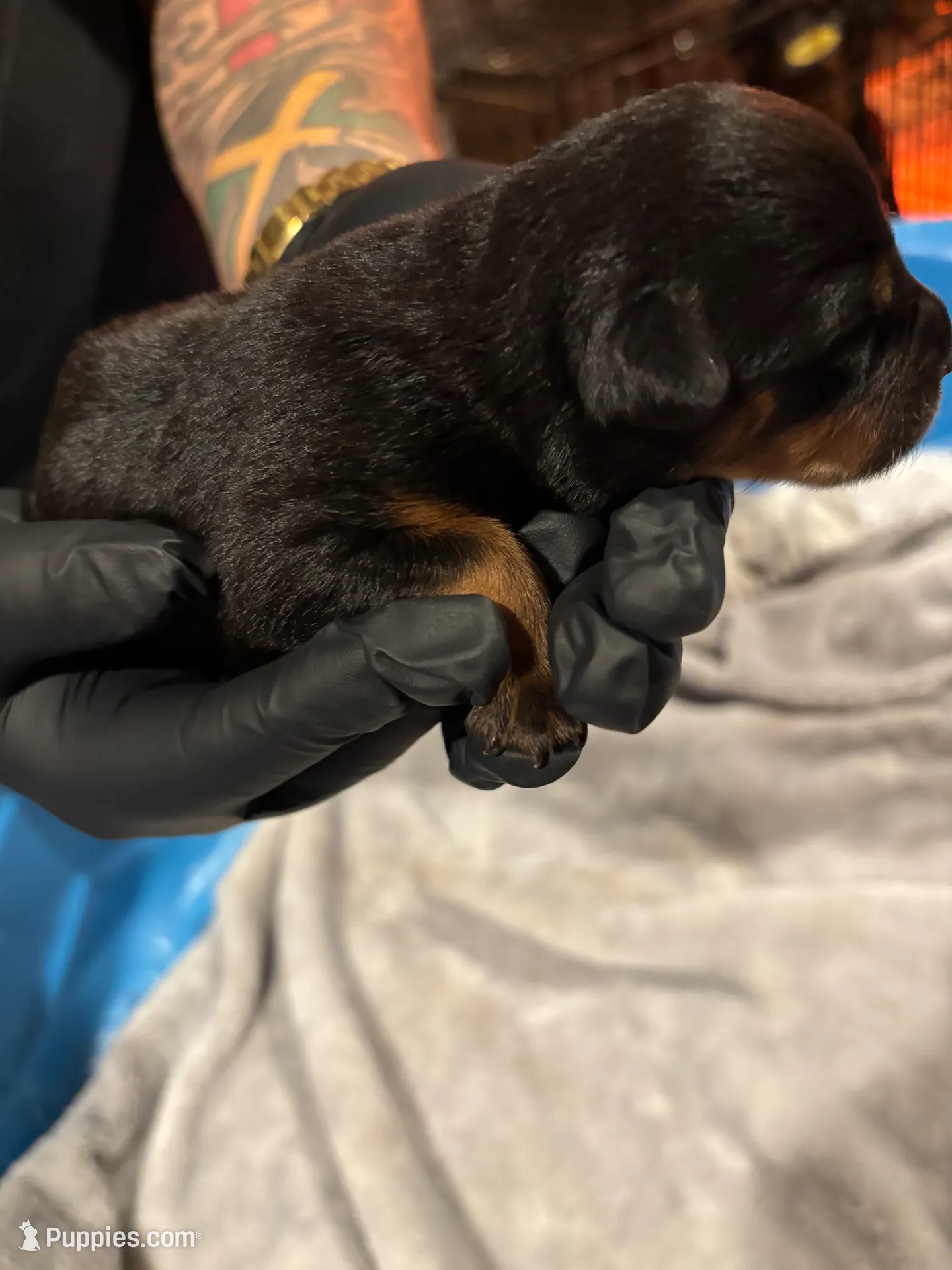 processed/f0bbc54c-6282-4265-8d58-722429c064b4/listing/2750d8c1-dd6f-4e39-bb31-a5c463b1affc/f818ef4b-4cf0-489d-8d04-62f1e0144d52