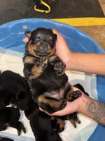 processed/f0bbc54c-6282-4265-8d58-722429c064b4/listing/3b1d34de-0477-4235-b339-6dd8702e0c0d/3b5cc52a-954d-41fe-9a60-cf1d258d6430